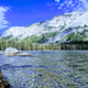 Illustration for article titled Motorcycle Road Trip: Wild Donkeys, Yosemite, and Tahoe